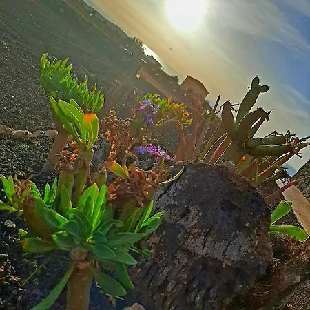 El Bounty Penzion Puerto del Rosario (Fuerteventura)