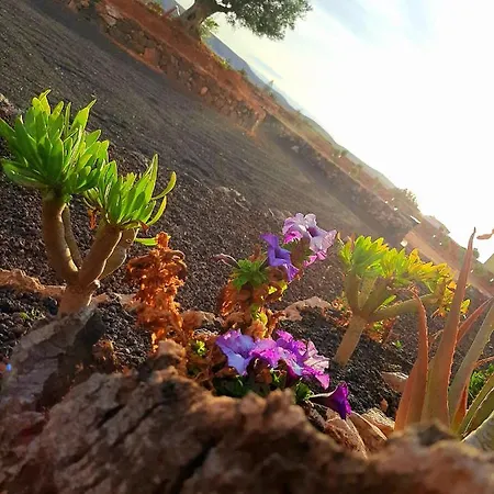 Casa de hóspedes El Bounty 3*