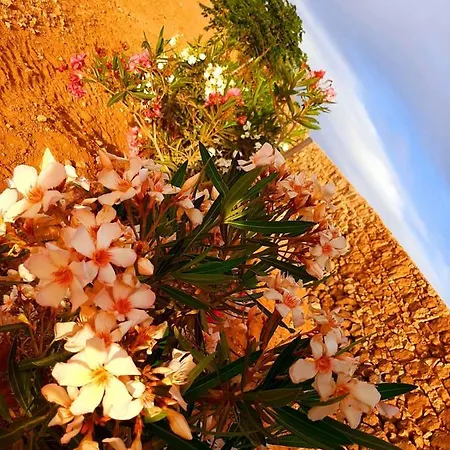 Affittacamere El Bounty