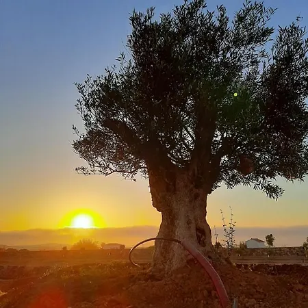 El Bounty Puerto del Rosario (Fuerteventura)