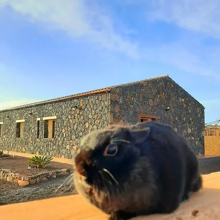 El Bounty Affittacamere