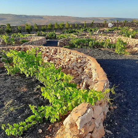 Affittacamere El Bounty 3*